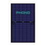 Phono Solar - Draco N-type TOPCon 460 Wp - Bifacial Full Black